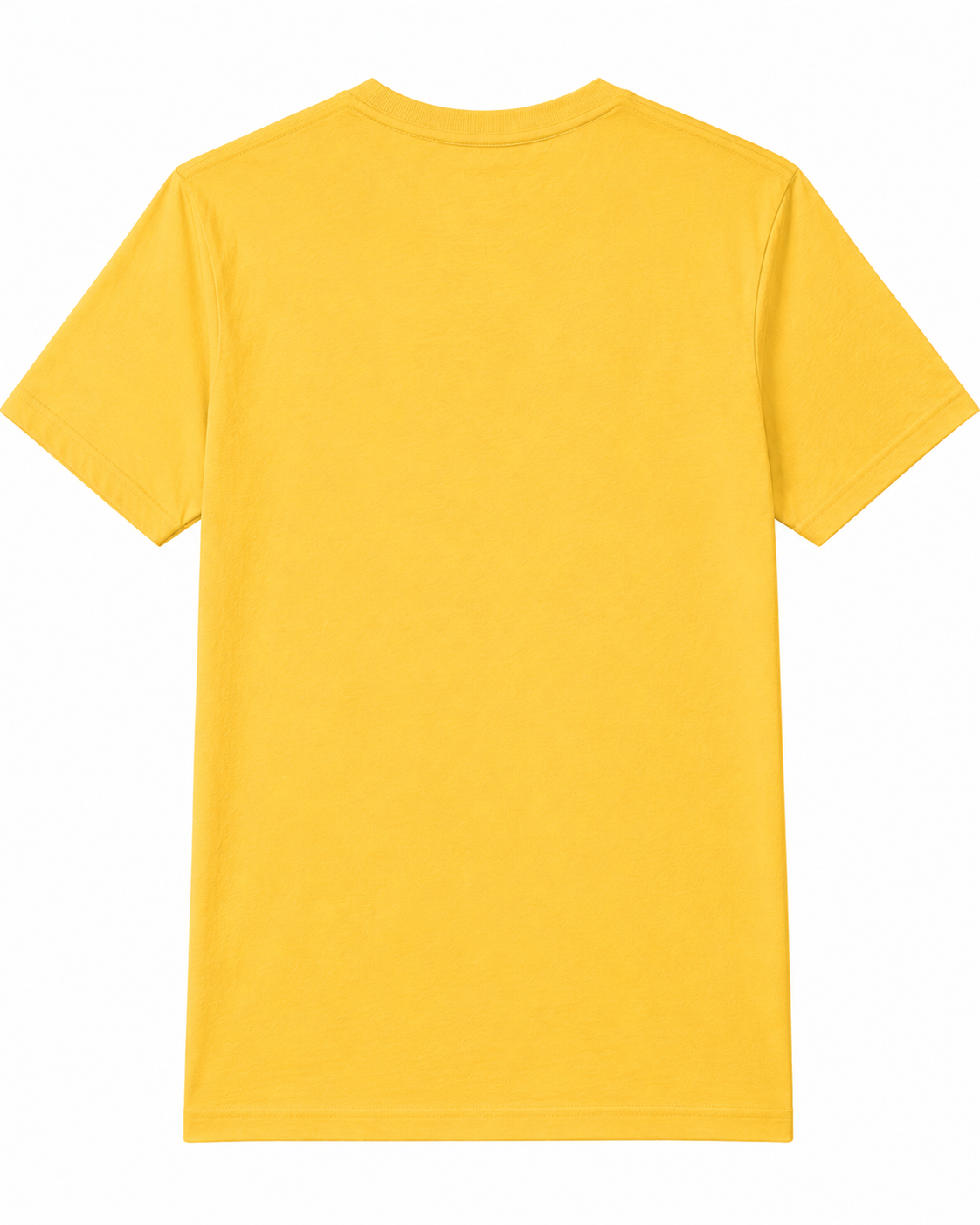 Men Hiking Graphic Regular Fit T-Shirt